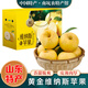 桃西村山東維納斯蘋(píng)果 黃焦蘋(píng)果黃胖子雀斑黃元帥糖心蘋(píng)果新鮮水果禮盒 10枚 精選大果80mm【禮盒裝】順豐