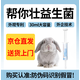 兔豆幫你壯益生菌兔子專(zhuān)用益生菌幼兔兔龍貓倉鼠益生菌益德一兔膏 【官方授權】幫你壯30ml