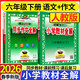 2026春小學(xué)教材全解六年級下冊語(yǔ)文數學(xué)英語(yǔ)人教版北師版 薛金星6年級教材解讀同步練習冊輔導書(shū) 六年級下冊語(yǔ)文 教材全解+同步作文