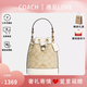 蔻馳（COACH）【奢禮傳情】 女包時(shí)尚百搭簡(jiǎn)約包包女士精致單肩手提禮物送女生 淺卡其配白色C5121IMDQC