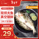 釣魚(yú)記斑點(diǎn)叉尾鮰魚(yú)1斤-1.3斤 二去凈重 冷凍 烤魚(yú)紅燒烤生鮮 年貨送禮