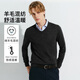 G2000【綿羊毛混紡】商場(chǎng)同款柔軟舒適百搭V領(lǐng)毛衣 黑色 L 