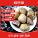 鮮京采鮮活大文蛤 凈重3斤 每斤約10只 蛤蜊生鮮海鮮水產(chǎn) 源頭直發(fā) 年貨