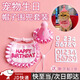 隨燦寵物生日帽子圍兜狗貓咪格紋可愛(ài)道具拍照裝扮套裝配飾圍脖口水巾 粉色花邊生日套裝 【圍兜+帽子+數字貼1套裝】