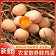 魏品優(yōu)選生態(tài)養殖農家土雞蛋單枚40克 20枚 鮮雞蛋40克