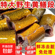 微山湖生態(tài)黃鱔鮮活現殺鱔段淡水長(cháng)魚(yú)肉特大鱔筒滋補燉湯老人補鈣 鱔魚(yú)段（1斤）
