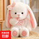 可愛(ài)安撫兔子玩偶毛絨玩具女孩垂耳兔小熊公仔陪睡布娃娃 兔子款 40厘米