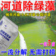 河道清理神器魚(yú)池除藻去苔劑治理河道清除綠藻魚(yú)塘凈水劑池塘變清 【1袋裝】池塘苔藻速凈 管2畝