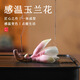 津盼創(chuàng  )意手工玉蘭花茶寵可養高端變色茶桌臺裝飾品擺件蓋置線(xiàn)香爐香插 玉蘭花變色茶寵香插