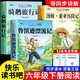 全套4冊魯濱遜漂流記六年級必讀正版的課外書(shū)原著(zhù)完整版湯姆索亞歷險記尼爾斯騎鵝旅行記愛(ài)麗絲漫游奇境快樂(lè )讀書(shū)吧六下魯冰遜孫冰童語(yǔ)書(shū)香導圖助讀 【全套3冊】魯濱遜+湯姆索亞+騎鵝旅行記