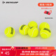 登路普（DUNLOP） DUNLOP登路普無(wú)壓訓練比賽網(wǎng)球耐磨彈性散裝袋裝 10269897 5個(gè)+吸汗帶1個(gè)
