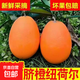 奉節臍橙紐荷爾重慶正宗橙子大果水果當季現摘先發(fā)榨汁產(chǎn)地直發(fā) 奉節臍橙 大果【單個(gè)240g-300g】 凈重【10斤裝】彩箱