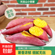 浙江臨安天目山小香薯紅薯粉糯香甜寶寶輔食京東源頭直發(fā)直播間 天目山小香薯【5斤】?jì)糁?大果100g+