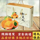 象山黃紅美人柑橘當季多汁新鮮果凍橙年貨節高端水果禮盒京東快遞 帶葉5斤大果禮盒12個(gè) 現摘京東速發(fā)