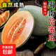 正宗海南哈密瓜 新鮮水果當季脆甜網(wǎng)紋瓜西州蜜香瓜老漢瓜 9-10斤3-4個(gè)瓜凈重8.5-9.5斤