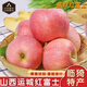 傾睦山西運城紅富士蘋(píng)果臨猗特產(chǎn)冰糖心丑蘋(píng)果現摘紅富士新鮮水果禮盒 9斤 精選果【單果75mm+】