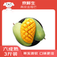 京鮮生 青皮金煌芒果 3斤裝 單果約300g 約3-5個(gè) 新鮮水果