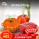 琺寶（staub）陶瓷碗帶蓋甜品盅燉盅湯盅家用廚房?jì)和胝舻吧忱氩途唢埻?陶瓷番茄盅+南瓜盅+紅色彩椒盅