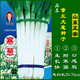 三育系列山東正宗章丘大蔥種子 鐵桿大梧桐蔥種籽 蔥白長(cháng)四季水果種孑脆甜 20克章丘寒蔥原裝袋約4000粒