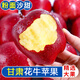 甘肅花牛蘋(píng)果5斤裝整箱當季新鮮沙甜蘋(píng)果果脆甜蘋(píng)果特產(chǎn) 花牛蘋(píng)果5斤【中果12枚】