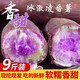 廣東湛江沙地冰淇淋紅薯9斤新鮮現挖香薯白薯地瓜粉糯一點(diǎn)紅紫薯Y 3斤大果【現挖現發(fā)】