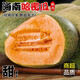 春福樂(lè ) 海南哈密瓜【源頭直發(fā)】脆甜多汁網(wǎng)紋甜瓜熱帶當季水果孕婦水果 5斤裝【精選1-2個(gè)】?jì)糁?.5斤