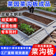 菜園菜溝板成品庭院菜園鋪路板戶(hù)外菜地磚水泥擋土板菜地溝板成品 80*45的花紋款-不含運費，有鋼筋-量大價(jià)優(yōu)