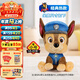 汪汪隊立大功（PAW PATROL）毛絨玩具狗狗陪睡玩偶經(jīng)典款阿奇小號坐姿可愛(ài)公仔男女孩生日禮物