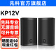 先科專(zhuān)業(yè)無(wú)源音響會(huì )議室酒店家庭影院家庭ktv客廳背景音樂(lè )培訓專(zhuān)用系統壁掛音箱一對 【 KP12V】12吋專(zhuān)業(yè)級無(wú)源音箱*一對