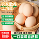 山林新鮮雞蛋鮮雞蛋當日現撿生鮮買(mǎi)菜單枚40g左右 當日現撿土雞蛋10枚