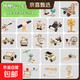 兒童科學(xué)物理實(shí)驗套裝男女孩3-14歲益智拼裝steam小學(xué)生教學(xué)玩具 全網(wǎng)最全科學(xué)實(shí)驗20件套
