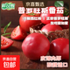 正宗普羅旺斯西紅柿沙瓤西紅柿自然熟番茄現摘蔬菜整箱直播間生鮮 彩箱 2斤 含箱【5-8枚】精品大果 陜西普羅旺斯【小時(shí)候的味道】