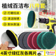 東部工品電動(dòng)百潔布拋光打磨神器清潔刷頭地板瓷磚廚房金屬除銹海綿電鉆刷