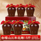 會(huì )稽山黃酒紹興會(huì )稽山3年陳花雕3斤*6壇整箱半干型糯米酒18斤自飲入藥 1500mL 6瓶