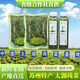 蘇州太湖莼菜350g袋裝無(wú)添加防腐劑火鍋涼拌燒湯家庭飯店包郵 食用農產(chǎn)品 S級無(wú)添加640克一瓶（固溶物78%）