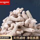 邊勝珊瑚骨濾材優(yōu)質(zhì)珊瑚砂魚(yú)缸過(guò)濾材料菲律賓珊瑚沙提高PH濾材海水 珊瑚骨5斤+網(wǎng)袋