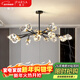 帕莎全銅輕奢吊燈后現代分子水晶燈客廳餐廳臥室簡(jiǎn)約燈飾北歐燈具套餐 黑擦金18頭全銅+水晶【3色光源】