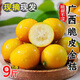 顧果鮮廣西脆皮金桔當季新鮮水果脆蜜滑皮小金桔青金橘脆甜整箱送禮 5斤 大果【34-40個(gè)左右/斤】