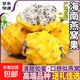海南黃金燕窩果當季新鮮熱帶水果麒麟果稀有黃火龍果【多倉發(fā)貨】 【中果】?jì)糁?斤 單果100g+