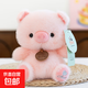 可愛(ài)毛茸茸墩墩小象玩偶創(chuàng  )意呆萌浣熊毛絨玩具兒童生日禮物安撫女 墩墩粉豬 16厘米【超萌桌伴娃娃】