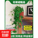 聽(tīng)雪樓仙洞龜背竹盆栽爬藤植物室內好養四季觀(guān)葉垂吊綠植適合懶人 長(cháng)藤仙洞【簡(jiǎn)易盆】(高度30-40cm左右)