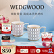 Wedgwood【新年禮物】馬克對杯心形禮盒高顏值骨瓷咖啡杯水杯情侶家用 金粉年華心形禮盒馬克杯藍+紅