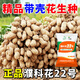 一斗田濮科花22號高產(chǎn)花生種子10KG高原種花生耐旱抗病皮薄籽大帶殼花生 一袋10KG可種半畝地