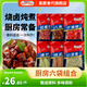 易廚食代鹵肉香料套裝6袋組合花椒大料八角香葉桂皮茴香干辣椒燉肉料195克