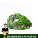 云峰海瑞阿凡達造景懸浮石小型水族天然浮石造景石魚(yú)缸莫斯水草造景 特大號