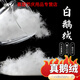 俏博萊卡馳慕寧大朵散裝國標95白鵝絨被原料無(wú)菌水洗98東北服填充物一斤 精品大朵95白鵝絨(一斤裝) 大朵