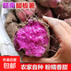 【地標特產(chǎn)】正宗贛南腳板薯紫人參山藥新鮮紫山藥紅薯直播間 腳板薯 8斤凈重