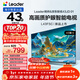 海爾出品 統帥經(jīng)濟款電視 L43F5C 43英寸 京東聯(lián)名款 京東OS 43JD 01系列 高畫(huà)質(zhì) 護眼 全面屏二級能效