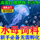YEE赤月水母飼料次日達免孵化豐年蝦卵水母糧吃食物專(zhuān)用飼料快速增肥 高蛋白50g裝+喂食勺 赤月海月桃花水母吃的豐年蝦卵飼料