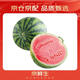 京鮮生 無(wú)籽麒麟西瓜 1粒裝 凈重5-7斤 生鮮水果